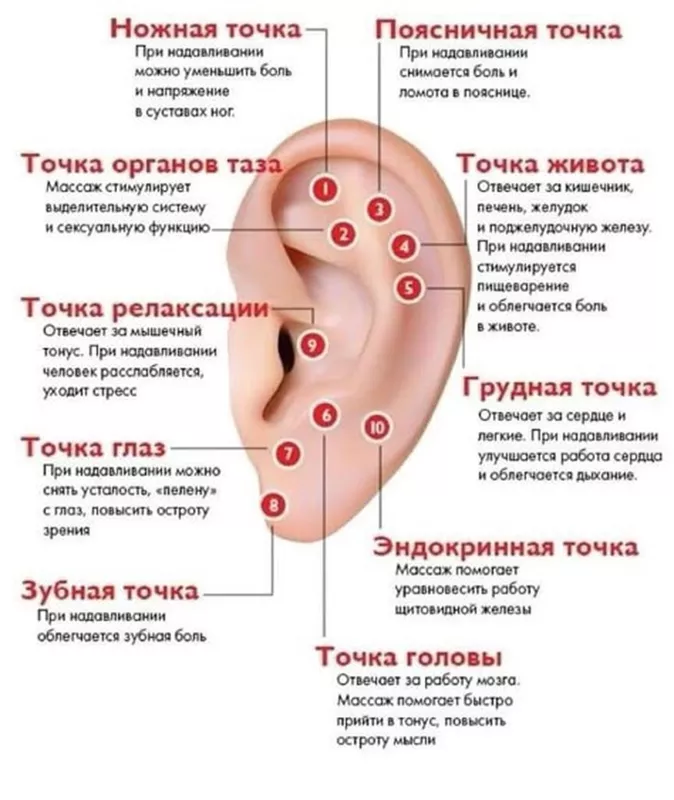 Медицинская инфографика