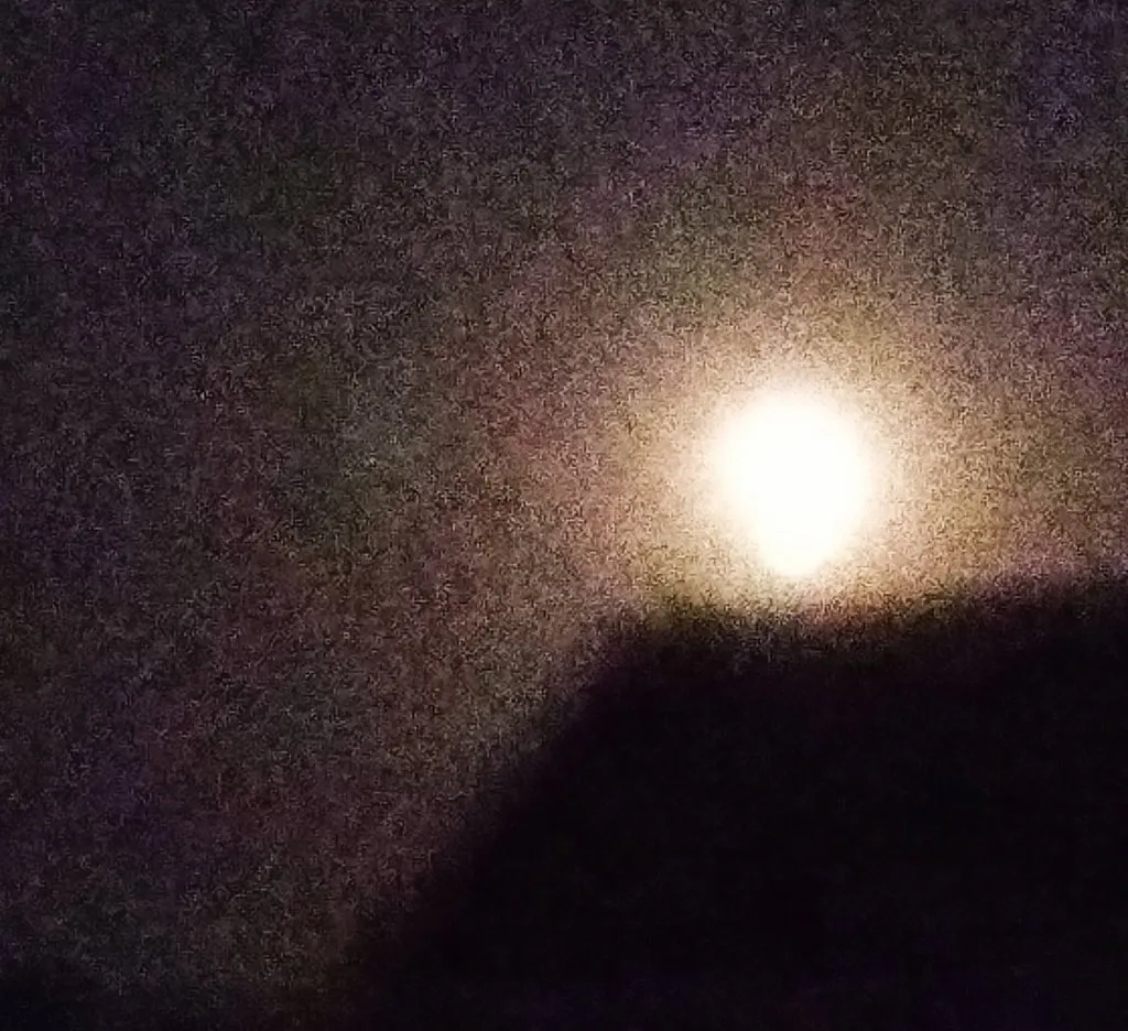 Чайная беседка