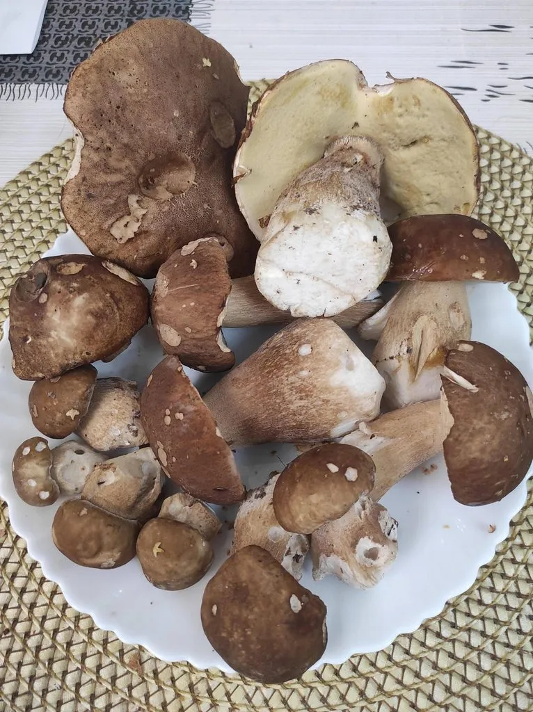 По грибы с лукошком