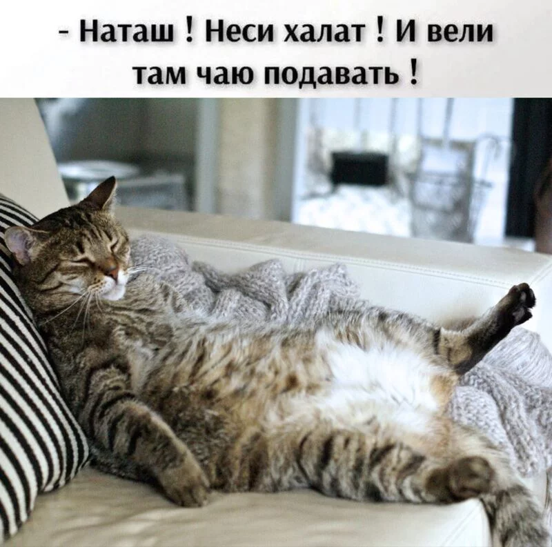 Посмеялся сам - поделись с другом!!!