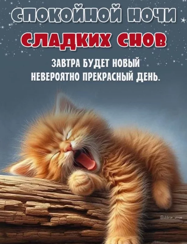 Кафе "У пани Сони"