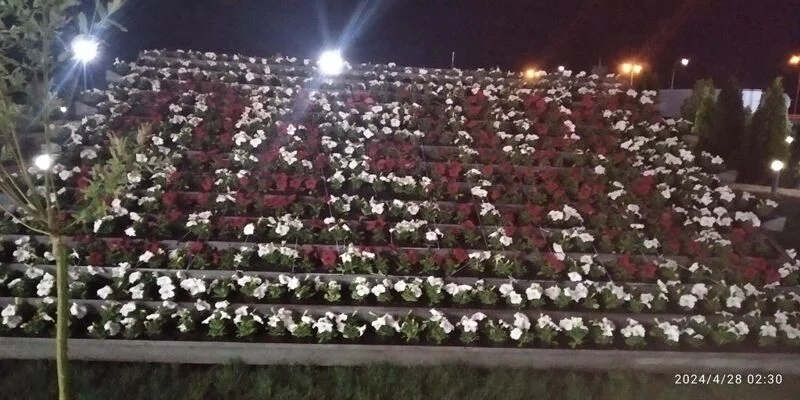 Чайная беседка