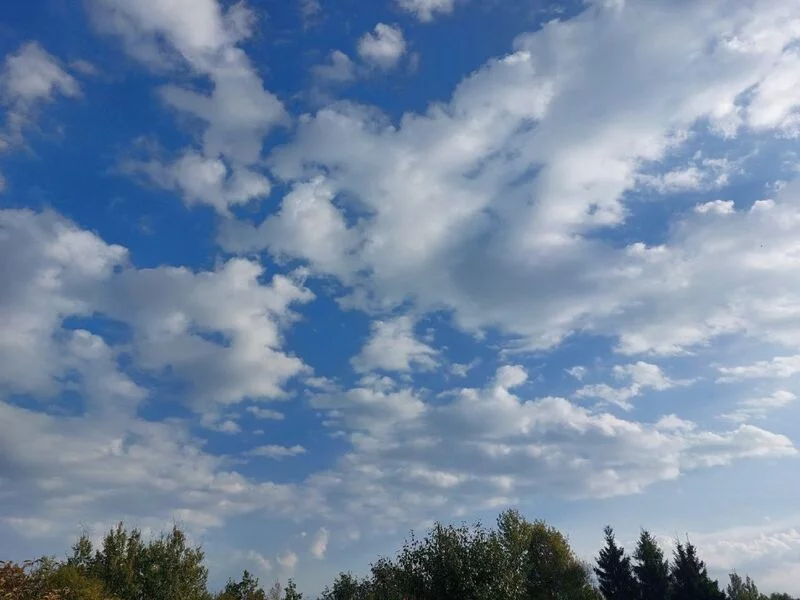 Такое разное небо