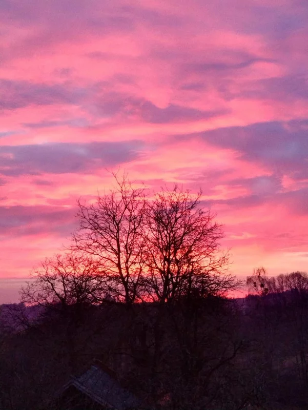 Чайная беседка