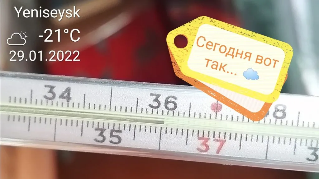 Tapтaлeтки & Ко