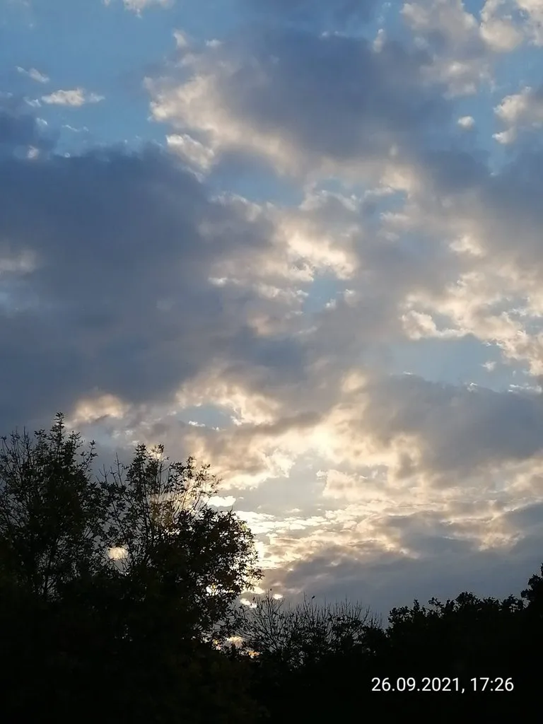 Чайная беседка