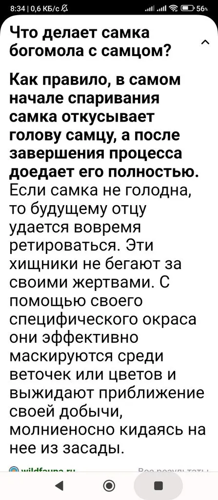 Кафе «У пани Сони»