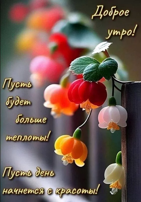 Кафе "У пани Сони"