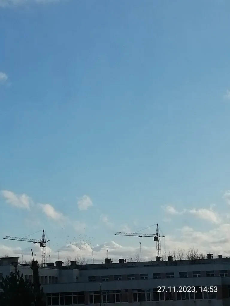 Такое разное небо