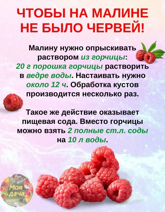 Домашняя инфографика