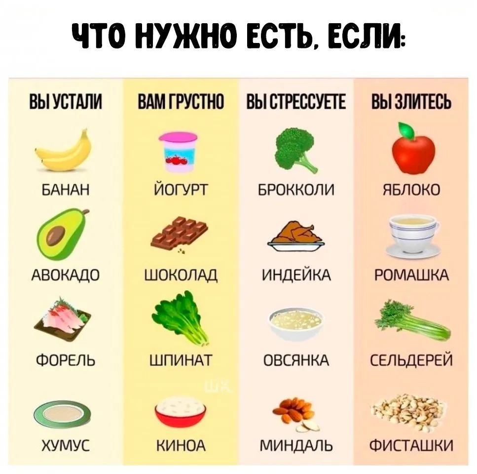 Кулинарная инфографика