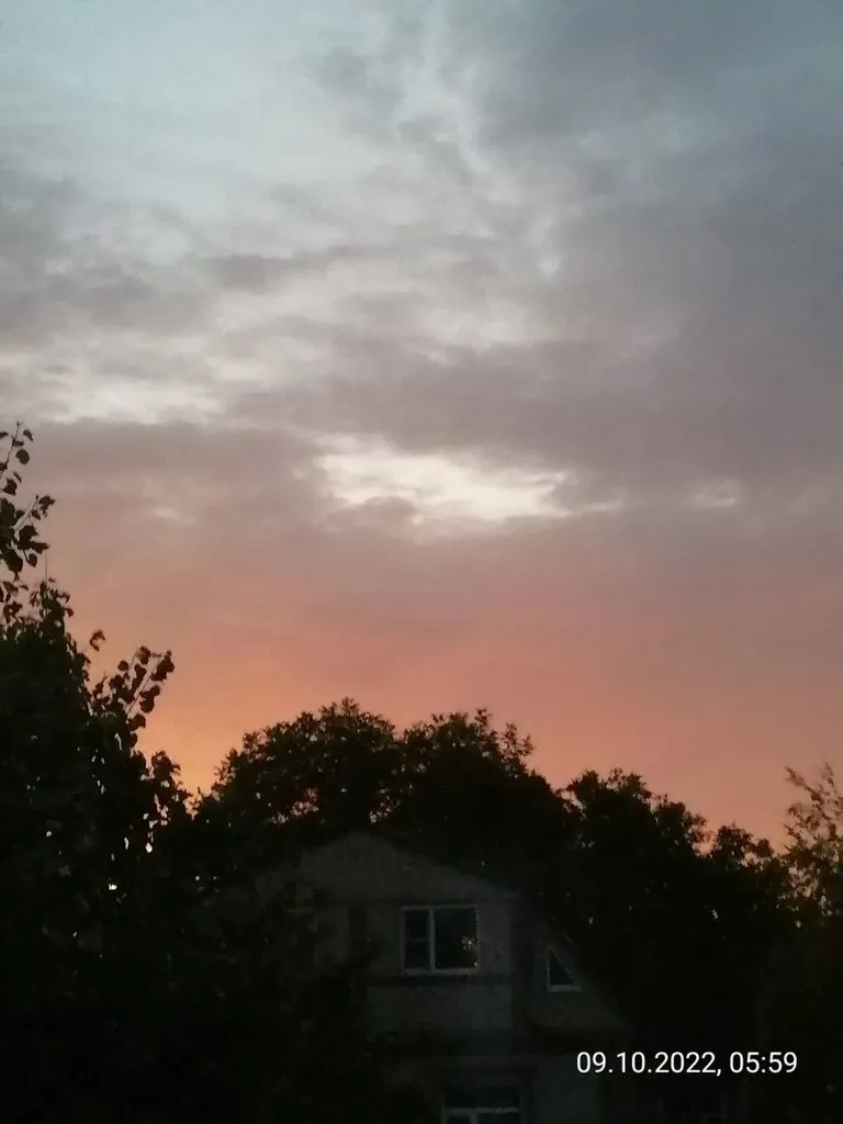 Чайная беседка