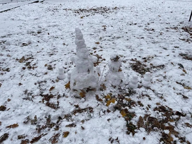 Чайная беседка