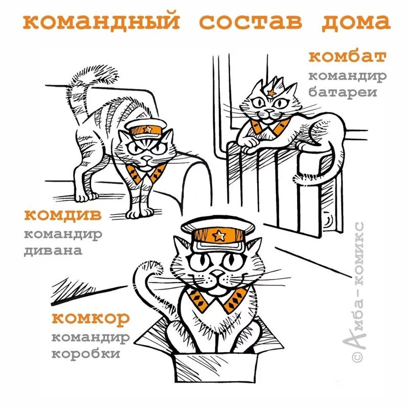 Посмеялся сам - поделись с другом!!!