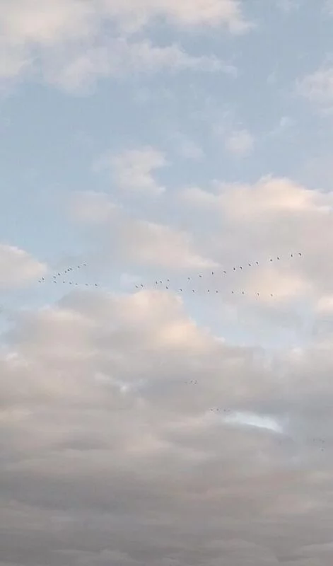 Такое разное небо