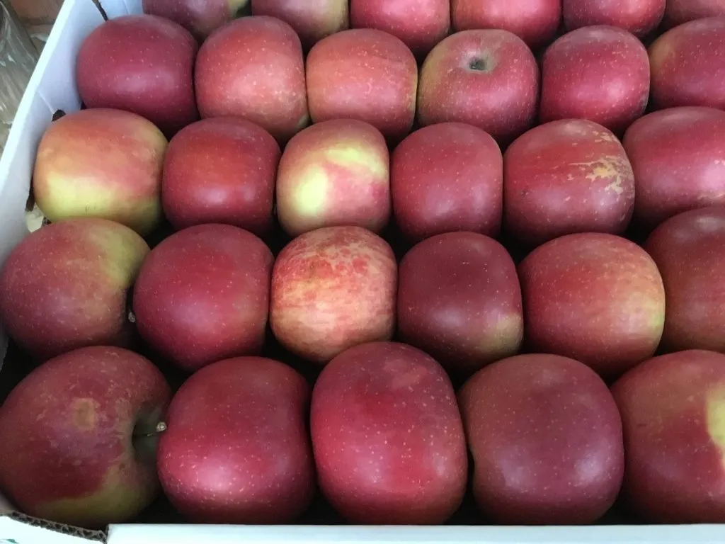 Фуд Сити в Москве