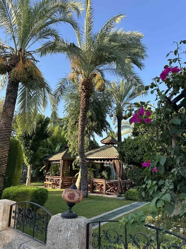 Фотонастроение