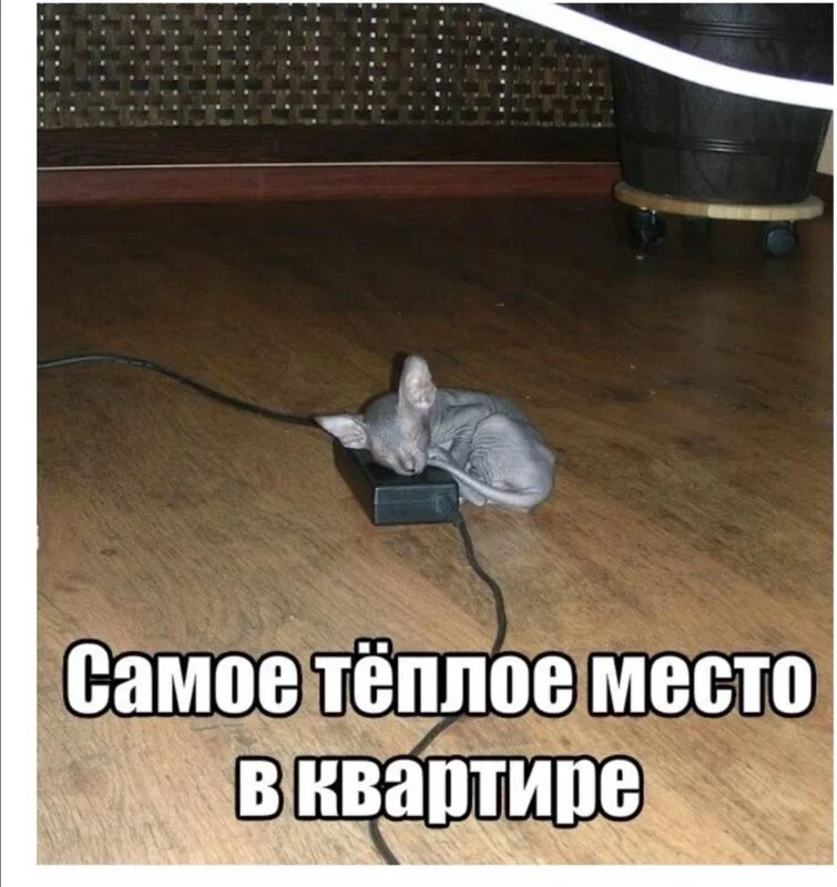 Посмеялся сам - поделись с другом!!!