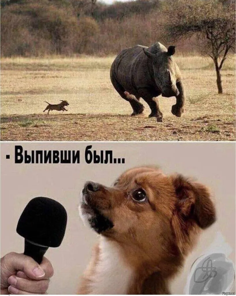 Посмеялся сам - поделись с другом!!!