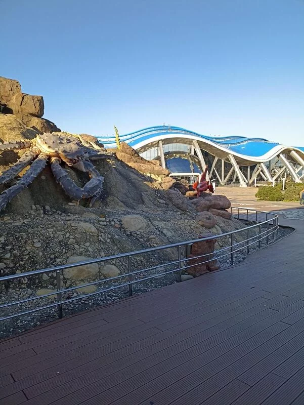 Владивосток - "золото" Дальнего Востока