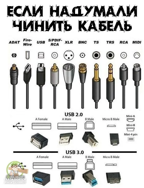Домашняя инфографика
