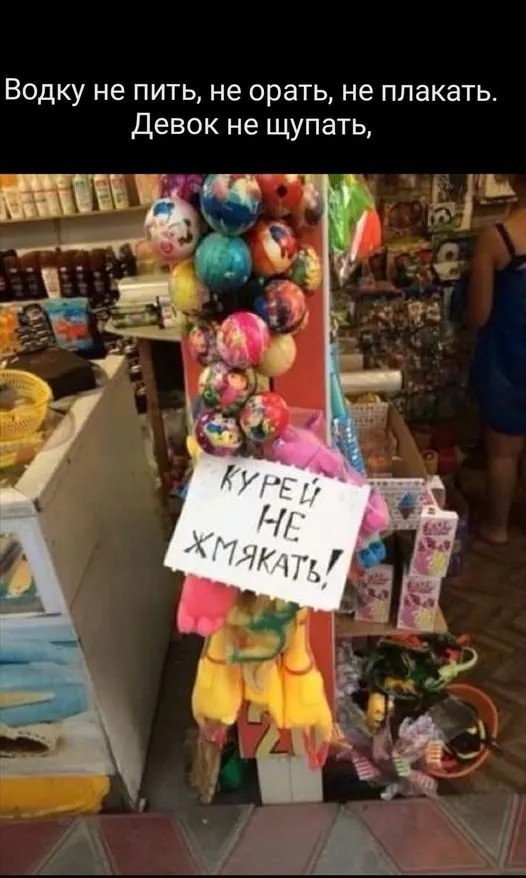 Всюду рифмы