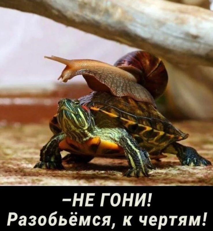 Посмеялся сам - поделись с другом!!!