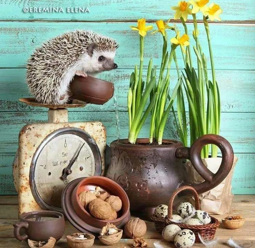 Арт галерея