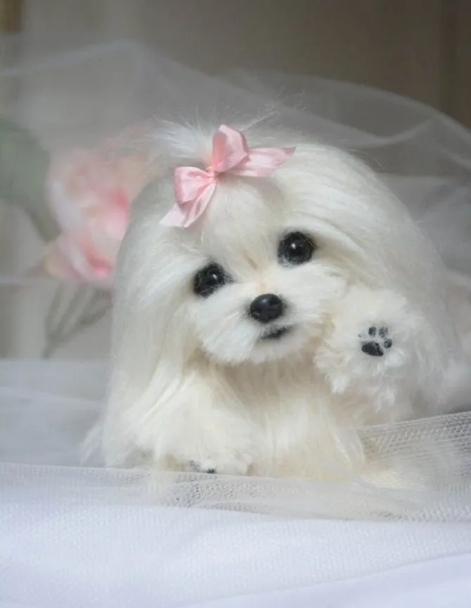 Посмеялся сам - поделись с другом!!!