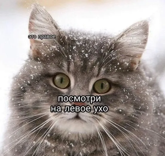 Посмеялся сам - поделись с другом!!!