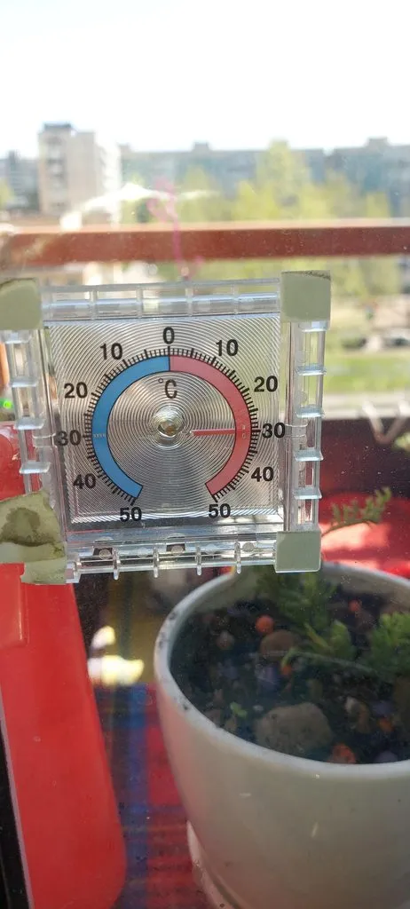 Tapтaлeтки & Ко