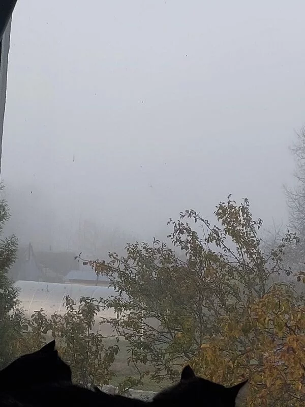 Такое разное небо