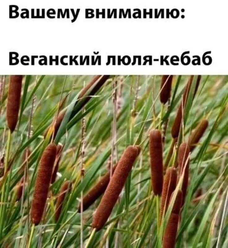 Посмеялся сам - поделись с другом!!!