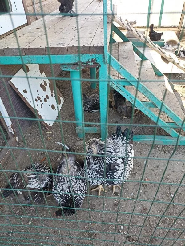 Владивосток - "золото" Дальнего Востока