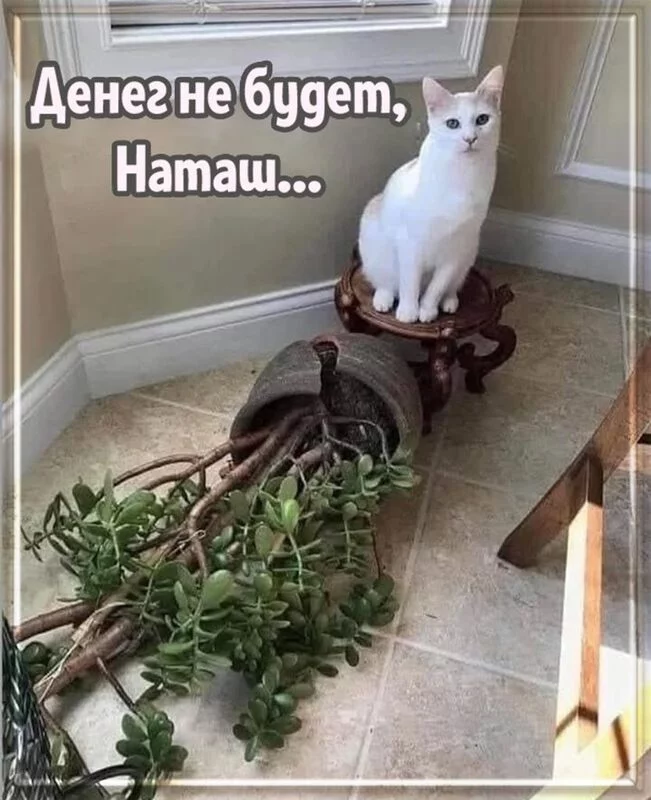 Посмеялся сам - поделись с другом!!!