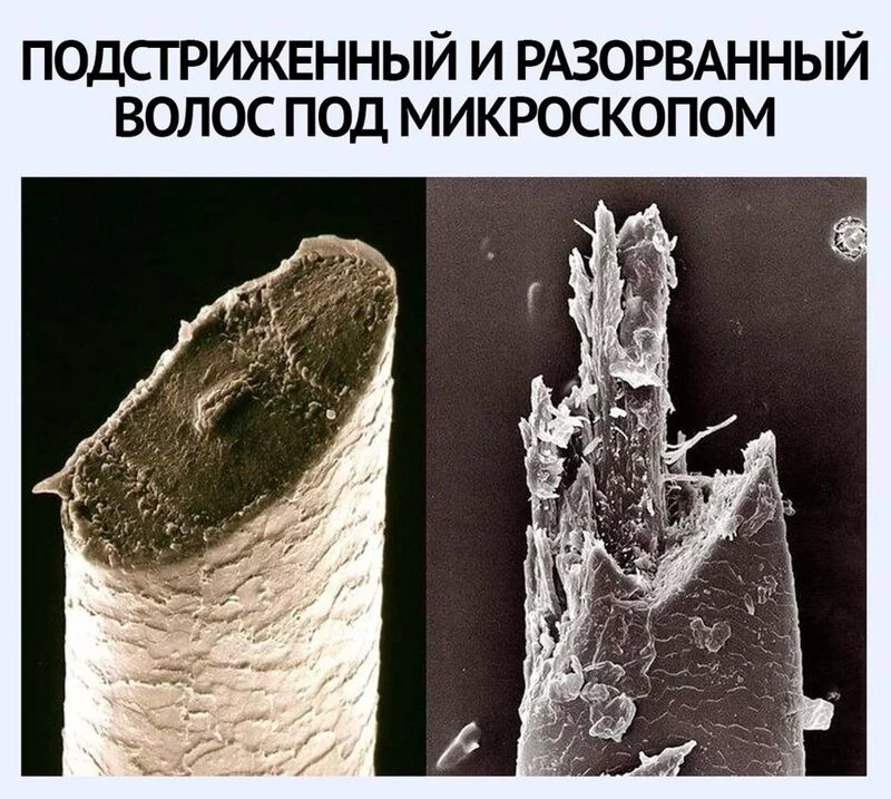Это интересно!