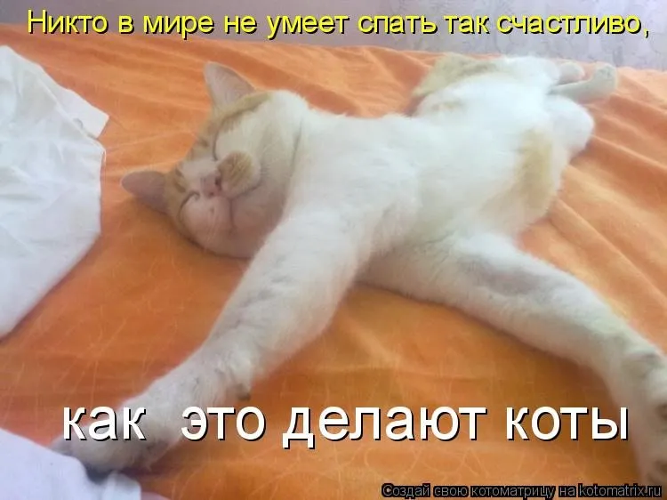 Русский язык