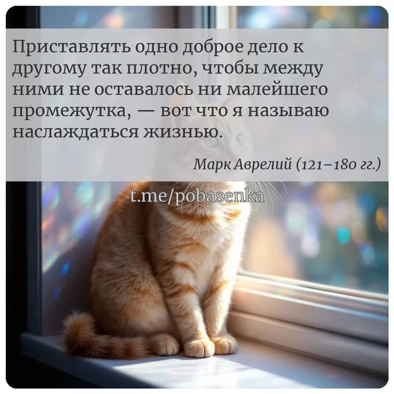 «Приставлять одно доброе дело к другому так плотно, чтобы между ними не оставалось ни малейшего промежутка, — вот что я...» height="550" width="550"