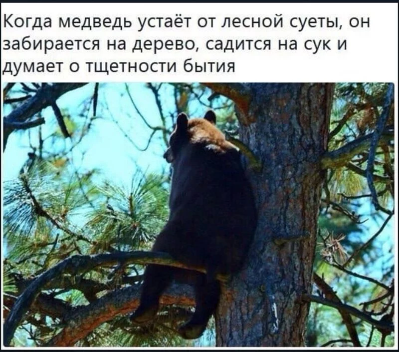 Посмеялся сам - поделись с другом!!!