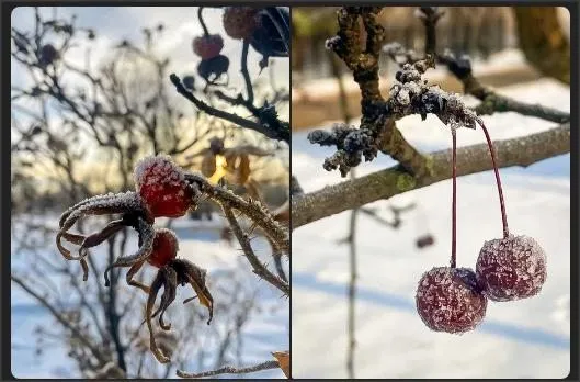 Фотонастроение