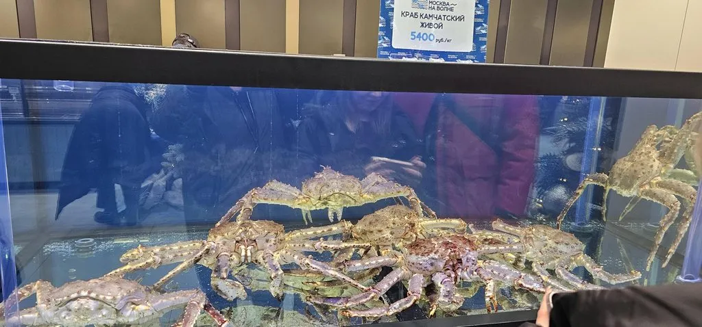 Где, что и когда купить в Москве