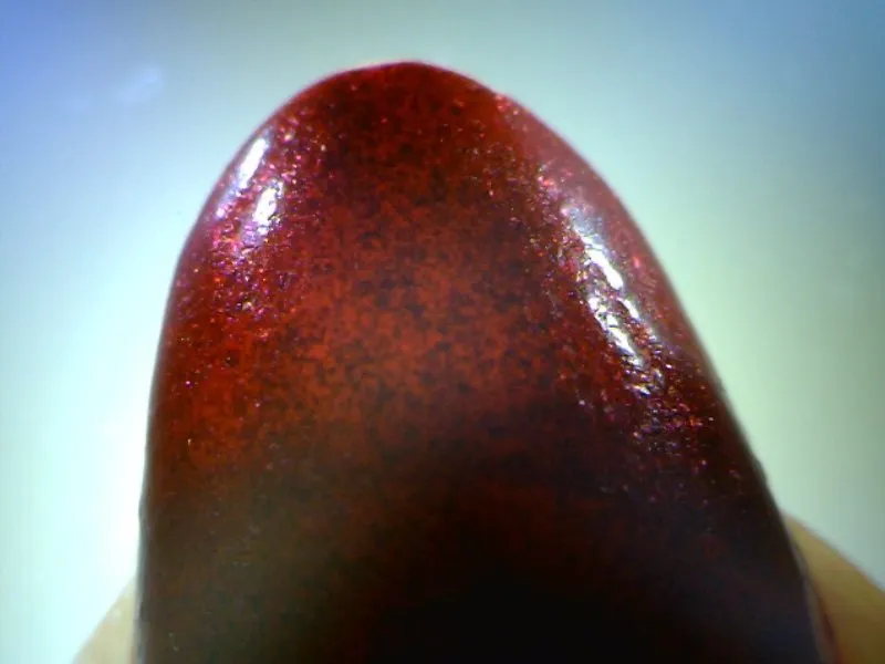 Tapтaлeтки & Ко