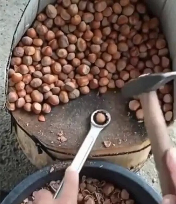 Голь на выдумки хитра