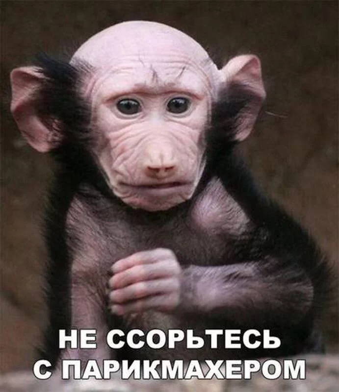 Посмеялся сам - поделись с другом!!!