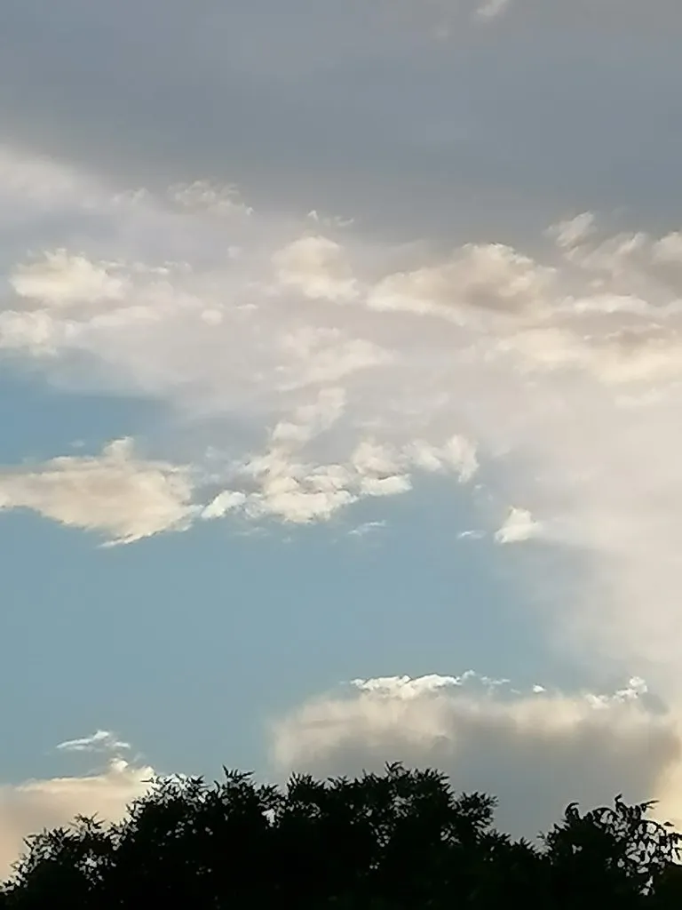 Чайная беседка