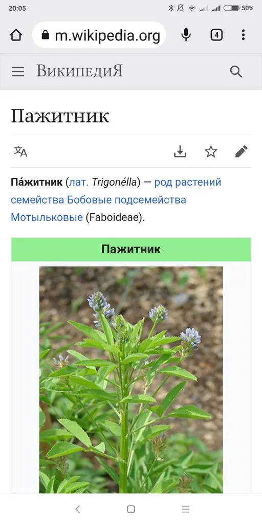 Ищу рецепт на нашем форуме