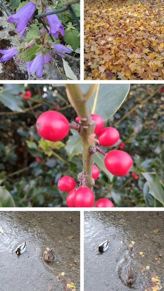 Чайная беседка