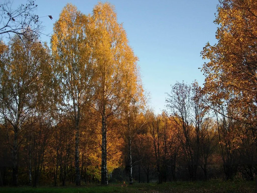 Фотонастроение
