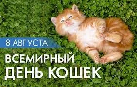 Кафе «У пани Сони»