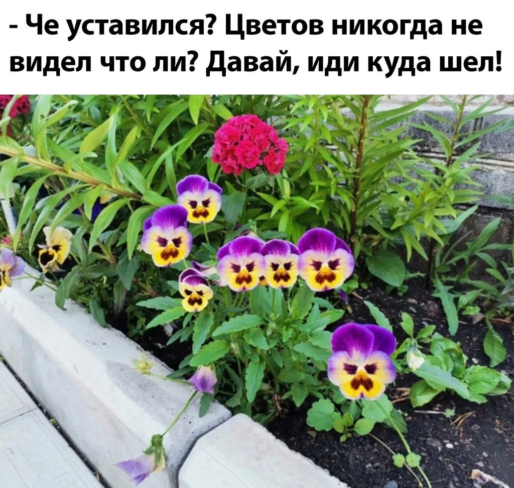 Посмеялся сам - поделись с другом!!!